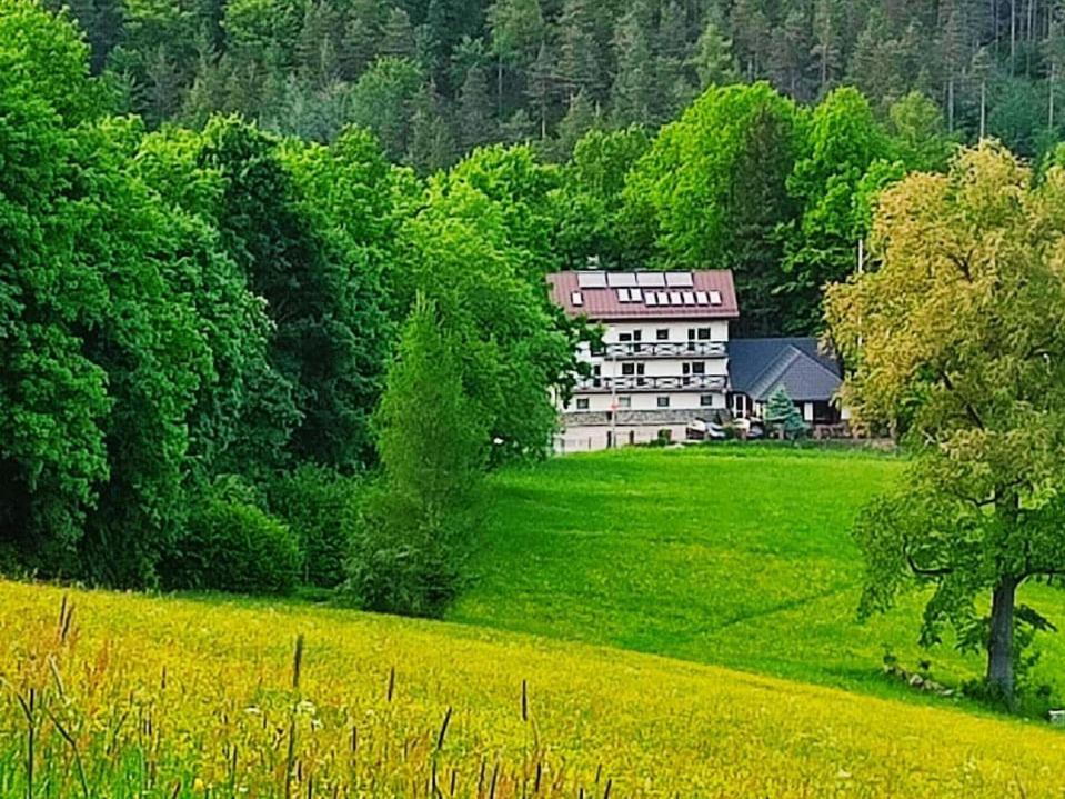 Gorski Widok Karpacz Apartamenty I Pokoje- Salon Kominkowy Екстериор снимка
