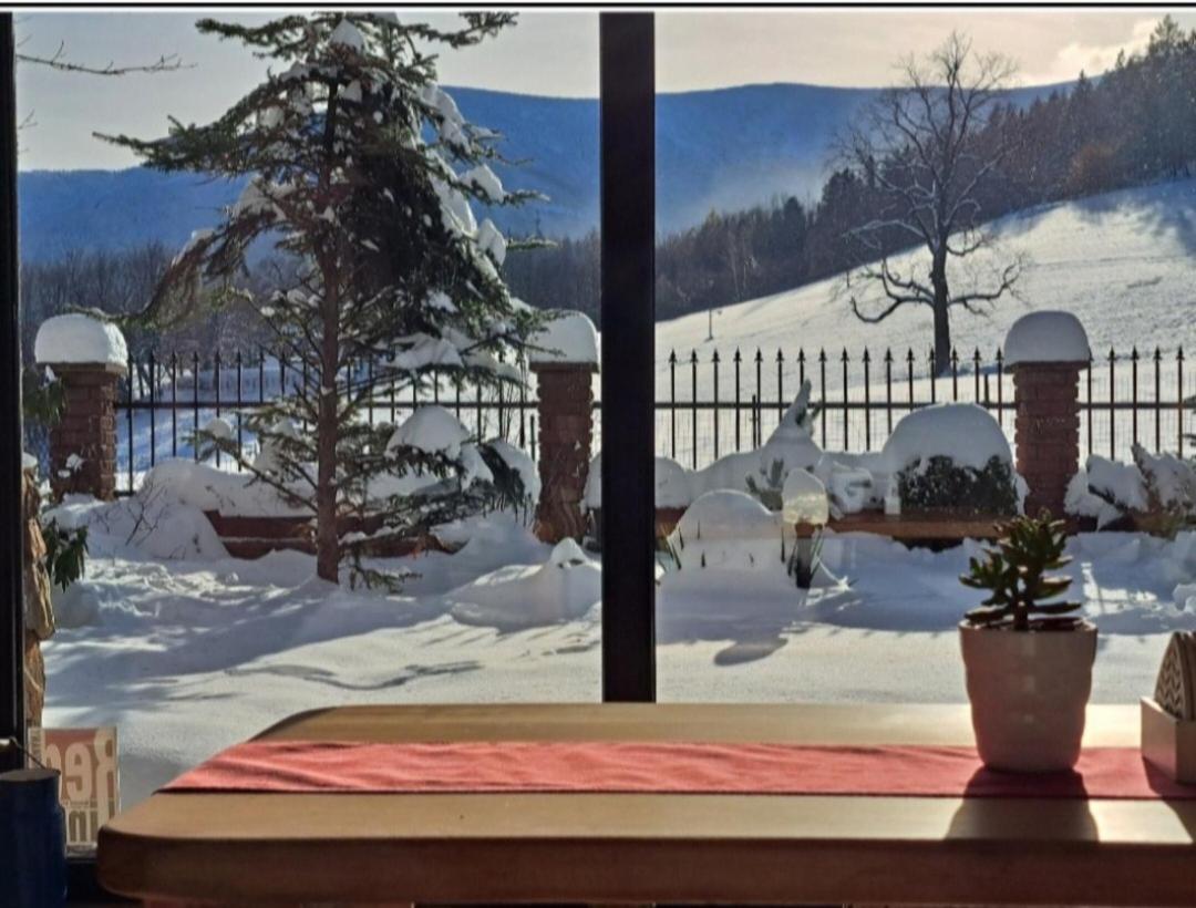 Gorski Widok Karpacz Apartamenty I Pokoje- Salon Kominkowy Екстериор снимка